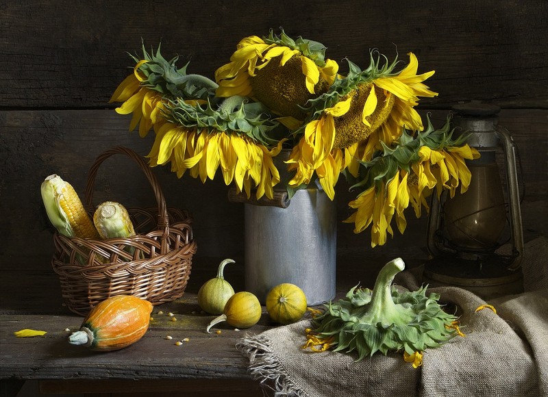 A beautiful flower still life photo